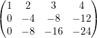 \small \begin{pmatrix} 1 & 2 & 3&4 \\ 0 & -4 & -8 &-12 \\ 0 &-8 &-16 &-24 \end{pmatrix}
