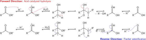 Forward Direction: Acid catalyzed hydrolysis + OH H+ H2O R OR 021 Н R OH **-, -, - R OR R OH Reverse Direction: Fischer ester