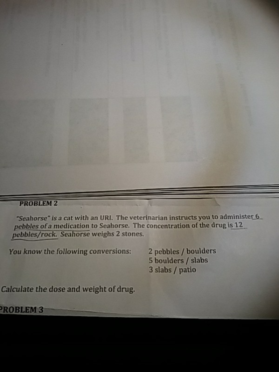 PROBLEM 2 Seahorse is a cat with an URI. The veterinarian instructs you to administer 6 pebbles of a medication to Seahorse