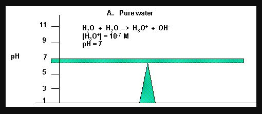 A. Pure water H2O + H2O--> H3O+ + OH- [H201 107 M pH-7 9 pH 5