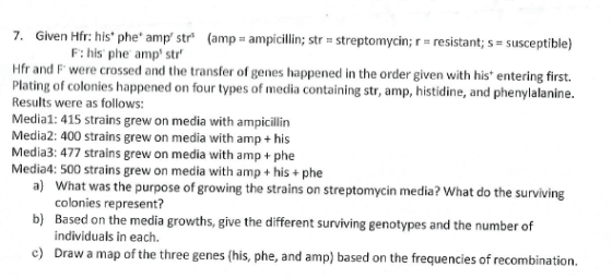 Given Hfr: his+ phe+ (amp = ampicillin; str = str