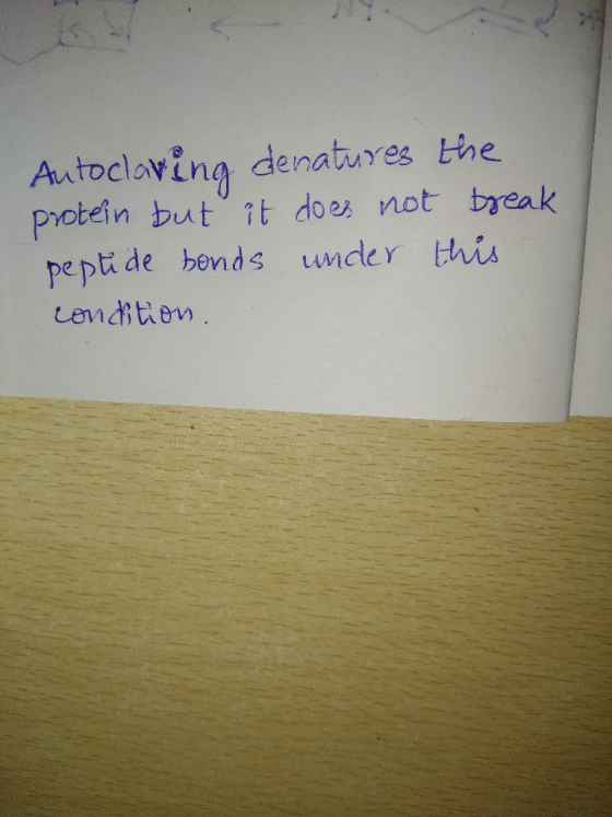 Autocloving denatures the protein but it does not break peptide bonds under this condition.