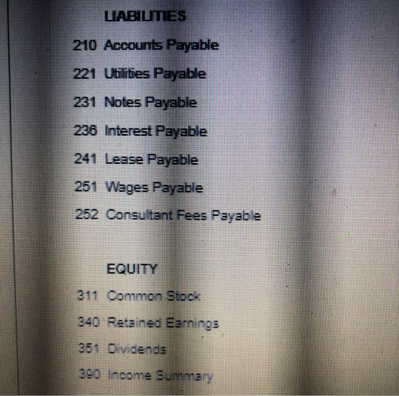 LABİLMES 210 Accounts Payable 221 Utilities Payable 231 Notes Payable 236 Interest Payable 241 Lease Payable 251 Wages Payabl