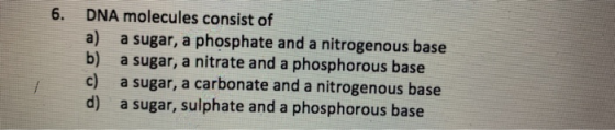 6. DNA molecules consist of a) a sugar, a phosphate and a nitrogenous base b) a sugar, a nitrate and a phosphorous base c) a