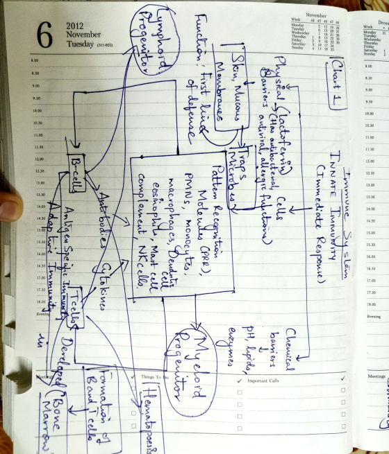Decem 2012 November Tuesday (311-055) Progeniton Lymphord November Week 44 45 46 47 48 Monday 5 12 19 Tuesday 6 13 20 Wednesd