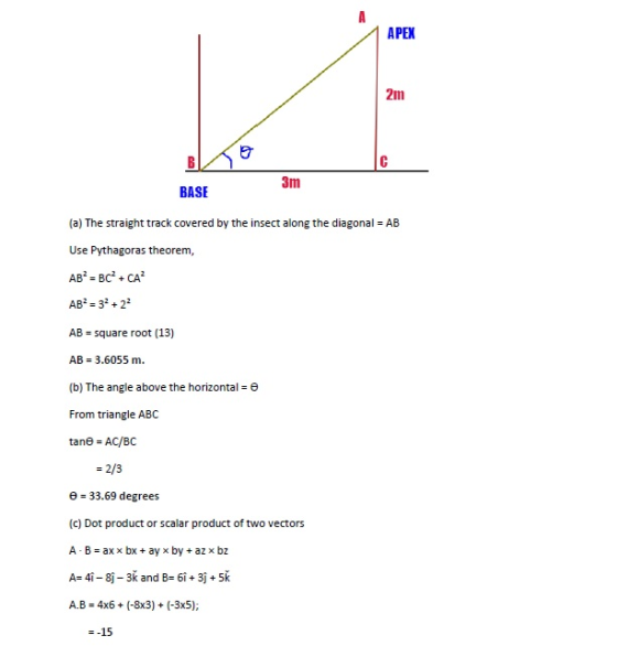 APEX 2m 3m BASE (a) The straight track covered by the insect along the diagonal AB = Use Pythagoras theorem, AB2- BC+CA AB2-
