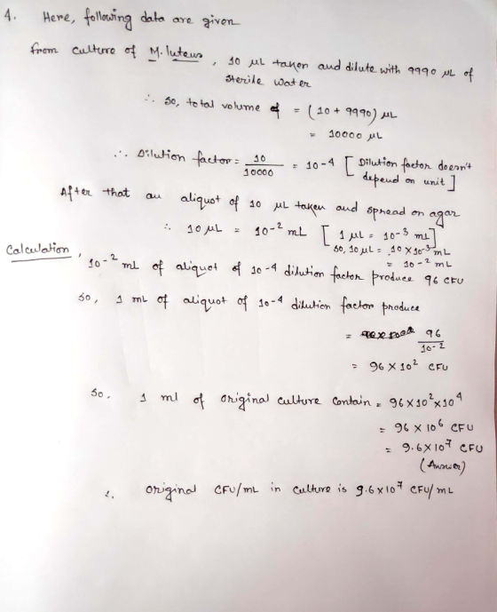 4. Here, following data are given from culture of M. luteus 90 ML taken and dilute with 9990 ML of sterile water . 5o, total