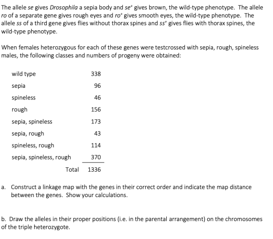 The allele se gives Drosophila a sepia body and set gives brown, the wild-type phenotype. The allele ro of a separate gene gi