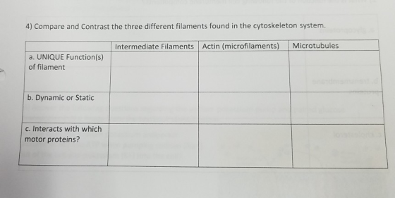 4) Compare and Contrast the three different filaments found in the cytoskeleton system. Intermediate Filaments Actin (microfi