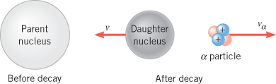Parent ucleus Before decay v Daughter nucleus particle After decay