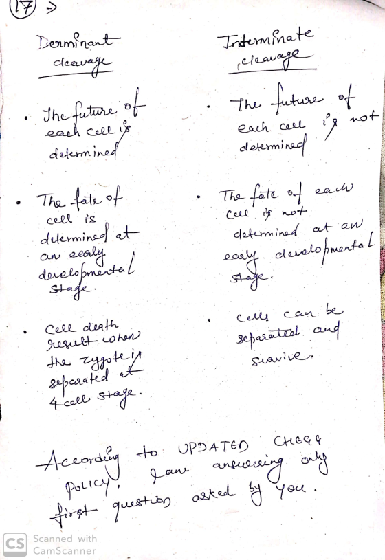 1. Derminant cleavage Interminate cleavage The future of each cell is not C. The future of each cell us determined determined