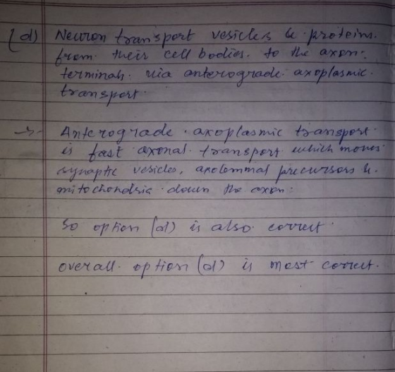 Eronspevt ー Ante to grade . arepiasmac transpor mi tochendwic.clean the comp m