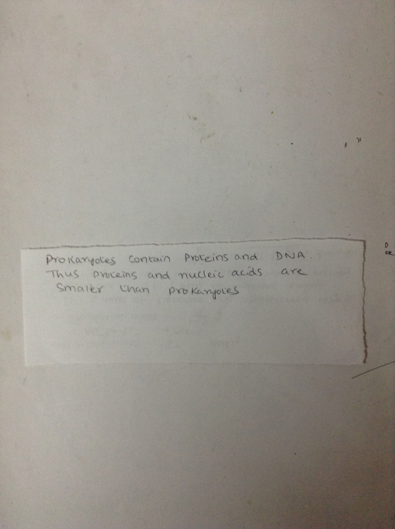 je Pro katotes contain Proteins and DNA hus proteins and nucleic acidS are smalerじnan pro Kandoles