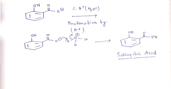 OH 119 . Hot) ㄱ Protonation by (H+) 0 + 앤 요에 1 + 1 Salicylic Acid