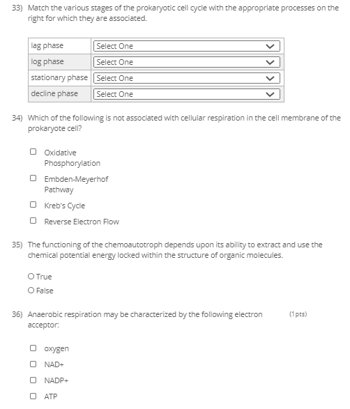 33) Match the various stages of the prokaryotic cell cycle with the appropriate processes on the right for which they are ass