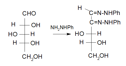 CHO C=N-NHPh HOH CH,OH CH OH