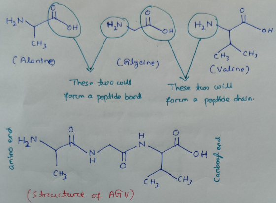 H2N H2N oH OH OH CH3 CH CH3 Cvaline) Calyeine) CAlontne These two wild These two oi chain Yorm a peptide bond form a oH CH3 C