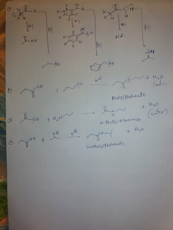 0 ORH- C- Hic HH 97 NR ont H2O Propyl Propanoate + H20 (water N-propyjethanamide o & H2O You YOH + Isopropy) Propanoate