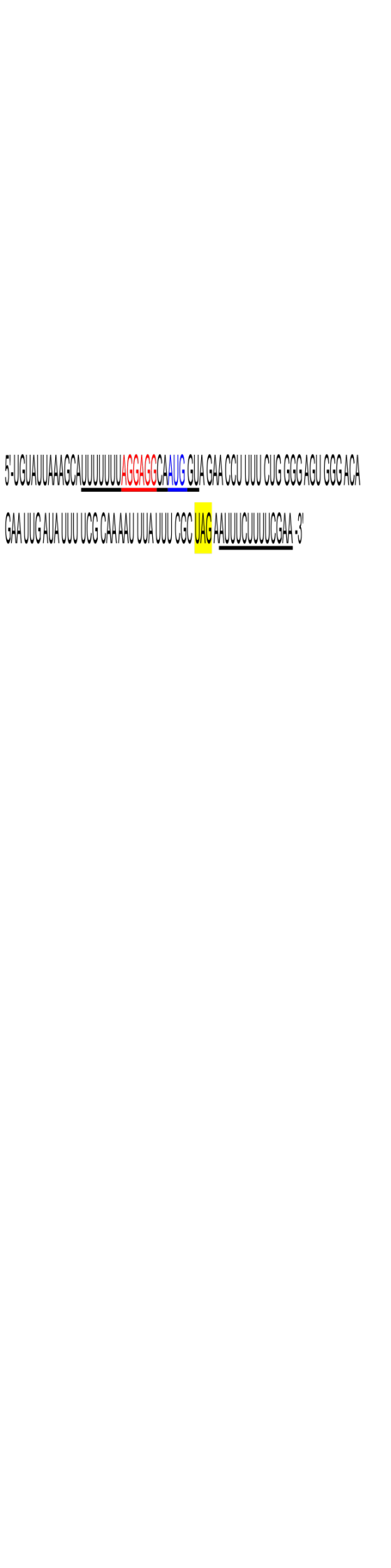 image?w=624&h=59&rev=52&ac=1&parent=1X2_