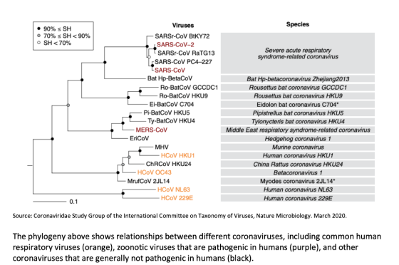 Species • 90% s SH • 70% s SH < 90% O SH <70% Severe acute respiratory syndrome-related coronavirus Viruses SARS-CoV BEKY72 S