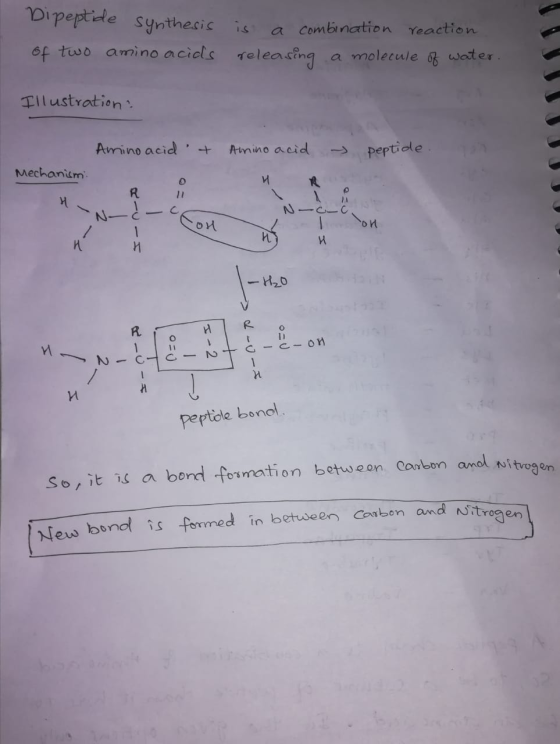 Dipeptide Synthesis of two amino acids is a combination reaction releasing a molecule of water. Illustration: Amino acid & Am