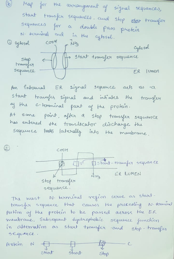 a (6) map for the arrangement of signal sequences, staut transfer sequences and stop stor transfer sequences for a double pas
