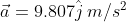 a = 9.807j m/s2