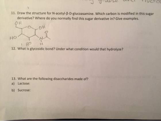 yuse IUGO 11. Draw the structure for N-acetyl-B-D-glucoasamine. Which carbon is modified in this sugar derivative? Where do y