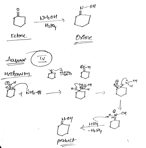 N-OH п, он Hatay Ketone Ketone Oxime Dame Auswer Mechaniny i com HAON Hoy f NH₃-04 - H. N OH 애 - How T -Hasoy product