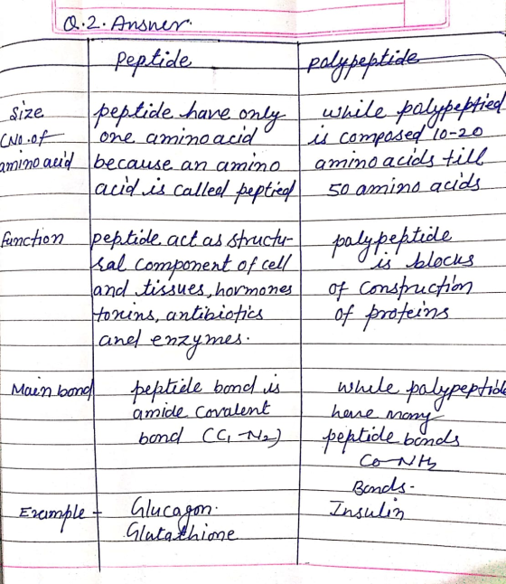 polypeptide 0.2. Ansner. peptide sizelpeptide have only while polypeptieel cueroflone amino acidº is composed 20-20 amino au