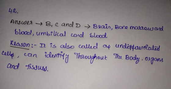 42. Answer → B, C and D → Brais, Bone marrow and blood, umbilical cord blood Reason: It is also called as undifferentiated Ce