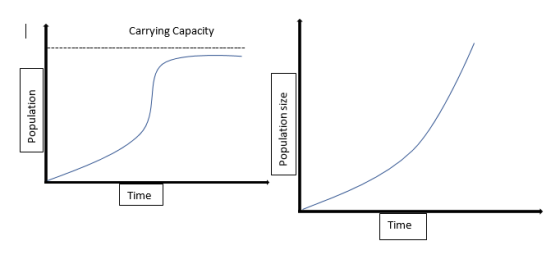 Carrying Capacity Population Population size Time Time
