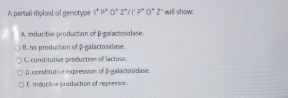 A partial diploid of genotype it pt ot ztrpt of zº will show: A. Inducible production of B-galactosidase. OB. no production o