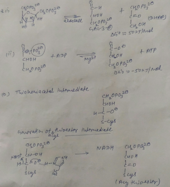 Qi, CHOPO ICHOPO 20 1 CH₂ OPO20 OPOZO -H a duopo 20 & c сири Kig AQOH d=0 Che =0 l on HOW DHAP) aldolall CHOPO, 20 SAL-3-0 Ch