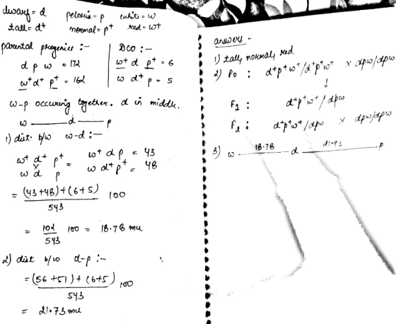 away=d red wt peloria P white tall= d+ normal = pt DCO:- parental progenice : wt d f t = 6 dp w p answcy - U tally normally r