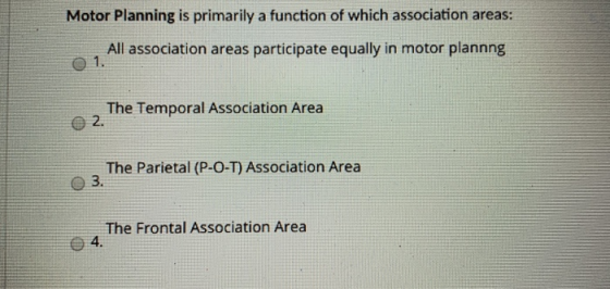 Motor Planning is primarily a function of which association areas: All association areas participate equally in motor plannng