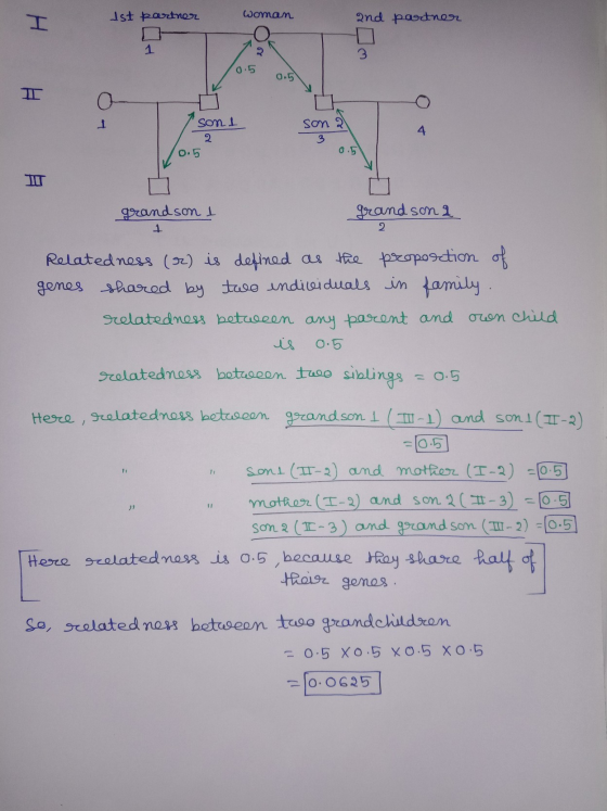 woman Ist partner H 2nd partner 1 2 3 0.5 0.5 I o 1 sont 2 0.5 son 2 3 0.5 4 T grandson i grandson 2 1 2 Relatedness (2) is d