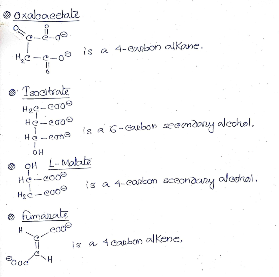 0 Oxaloacetate co0 is a 4-earbon alkane. H₂ C-@-o 0 o Isocitrate Ha@-200 Herero Here is a 6- carbon secondary alechol, ero 1