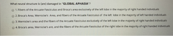 What neural structure is (are) damaged in GLOBAL APHASIA? 1. Fibers of the Arcuate Fasciculus and Brocas area exclusively
