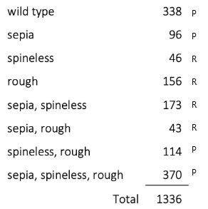 338 P 96 P 46 R 156 R wild type sepia spineless rough sepia, spineless sepia, rough spineless, rough sepia, spineless, rough