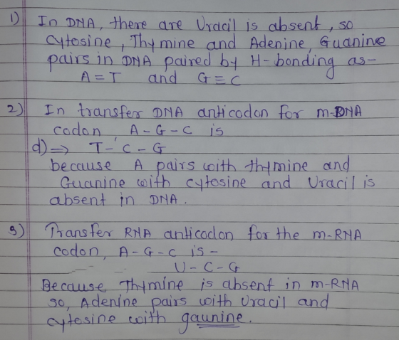 SO In DNA, there are Urdail is absent, cytosine, Thy mine and Adenine, Guanine pairs in DNA paired by H-bonding GEC as- A=I 2