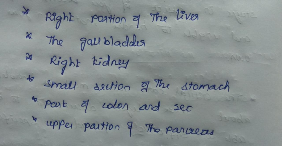 * Right portion of the liver * The gall bladder 2 Right kidney & small section of the stomach & part of color and see upper p