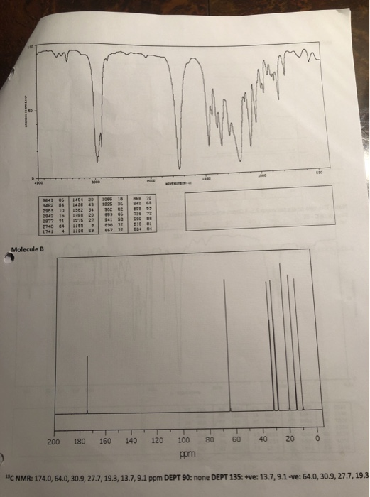 Molecule B 200 180 160 140 120 80 60 100 ppm 40 20 NMR: 174.0, 64.0, 30.9. 27.7. 19.3, 13.7.9.1 ppm DEPT 90: none DEPT 135: +