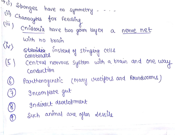 a) Sponges have no symmetry --- (11) Chanocytes for feeding ) Cnidaria have two gesem lay en a nerve net with no brain Stami