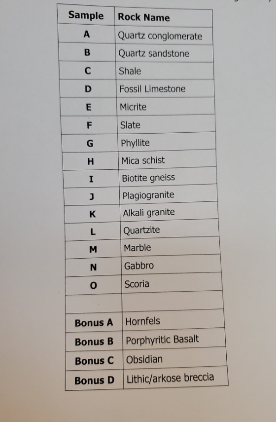 Sample Rock Name Quartz conglomerate Quartz sandstone Shale Fossil Limestone Micrite F Slate Phyllite H I Mica schist Biotite