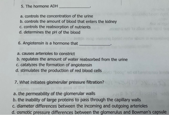 5. The hormone ADH a. controls the concentration of the urine b. controls the amount of blood that enters the kidney C. contr