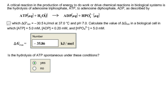 A critical reaction in the production of energy to do work or drive chemical reactions in biological systems is the hydrolysis of adenosine triphosphate, ÄTP, to adenosine diphosphate, ADP, as described by ATPaq) +H which ΔGnn--30.5 kJ/mol at 37.0 ℃ and pH 7.0. Calculate the value of Δ which [ATPI-5.0 mM, [ADPI 0. in a biological cell in 20 mM, and IHPo21-5.0 mM. Number k.J/ mol Is the hydrolysis of ATP spontaneous under these conditions? O yes no
