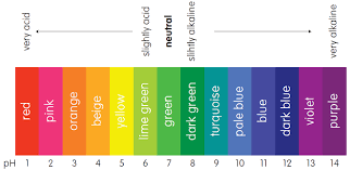 10 1 12 13 14 pH 2 3 4 5 6 7 8 9 red very acid pink orange beige yellow lime green slightly acid green neutral dark green sli