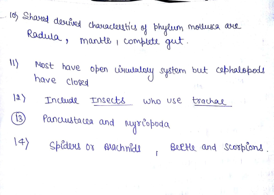 - 10 Shared derived characleotice a Phylum mollusca are Radula, mantle complete gut. o system but Most have oben uswulelery