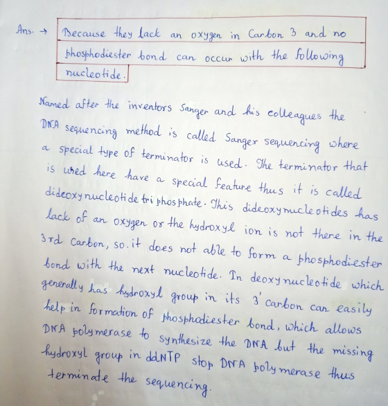 Ans. Because they lack an oxygen in Carbon 3 and no phosphodiester bond can occur with the following nucleotide. DNA Named af